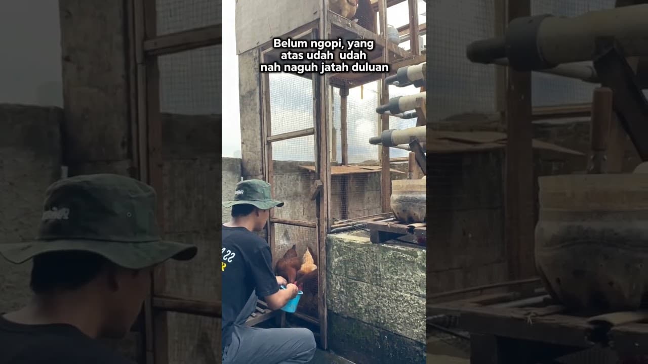 Belum ngopi, yang atas udah nagih jatah duluan